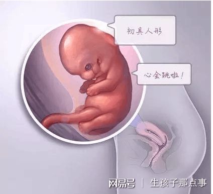 槿棠生殖中心环境